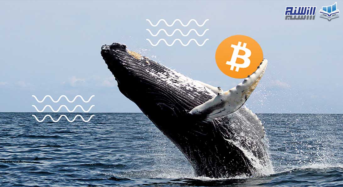 تاثیر رفتار نهنگ ها بر قیمت بیت کوین